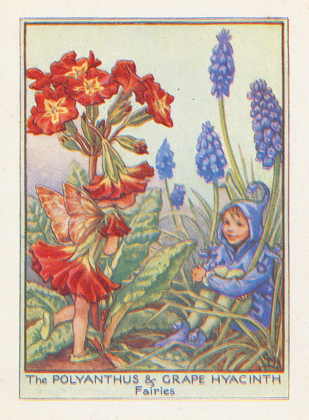 Cicely Mary Barker, Fairies - Polyanthus and Grape Hyacinth Fairies, 1944