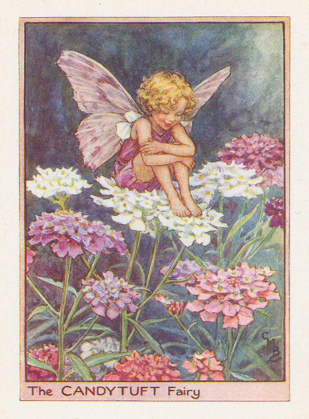 Cicely Mary Barker, Fairies - Candy Tuft Fairy, 1944