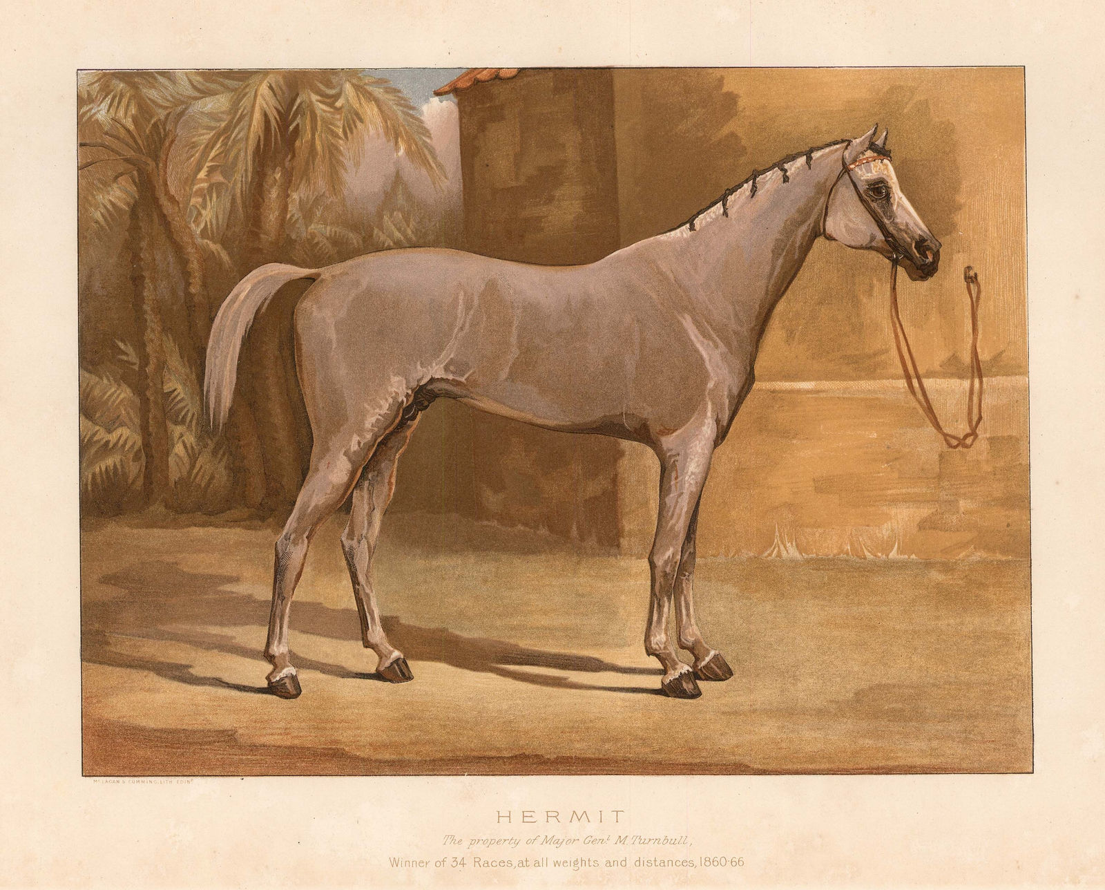 William Tweedie, Horses - Hermit, 1894