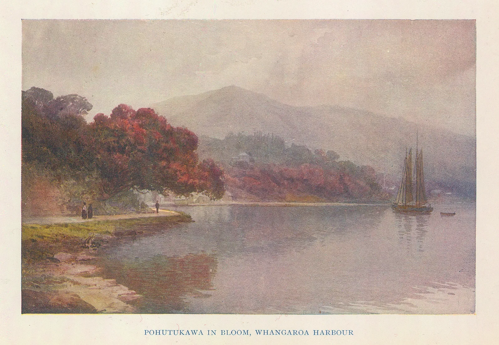 A. & C. Black Ltd., New Zealand - Whangaroa Harbour, 1915