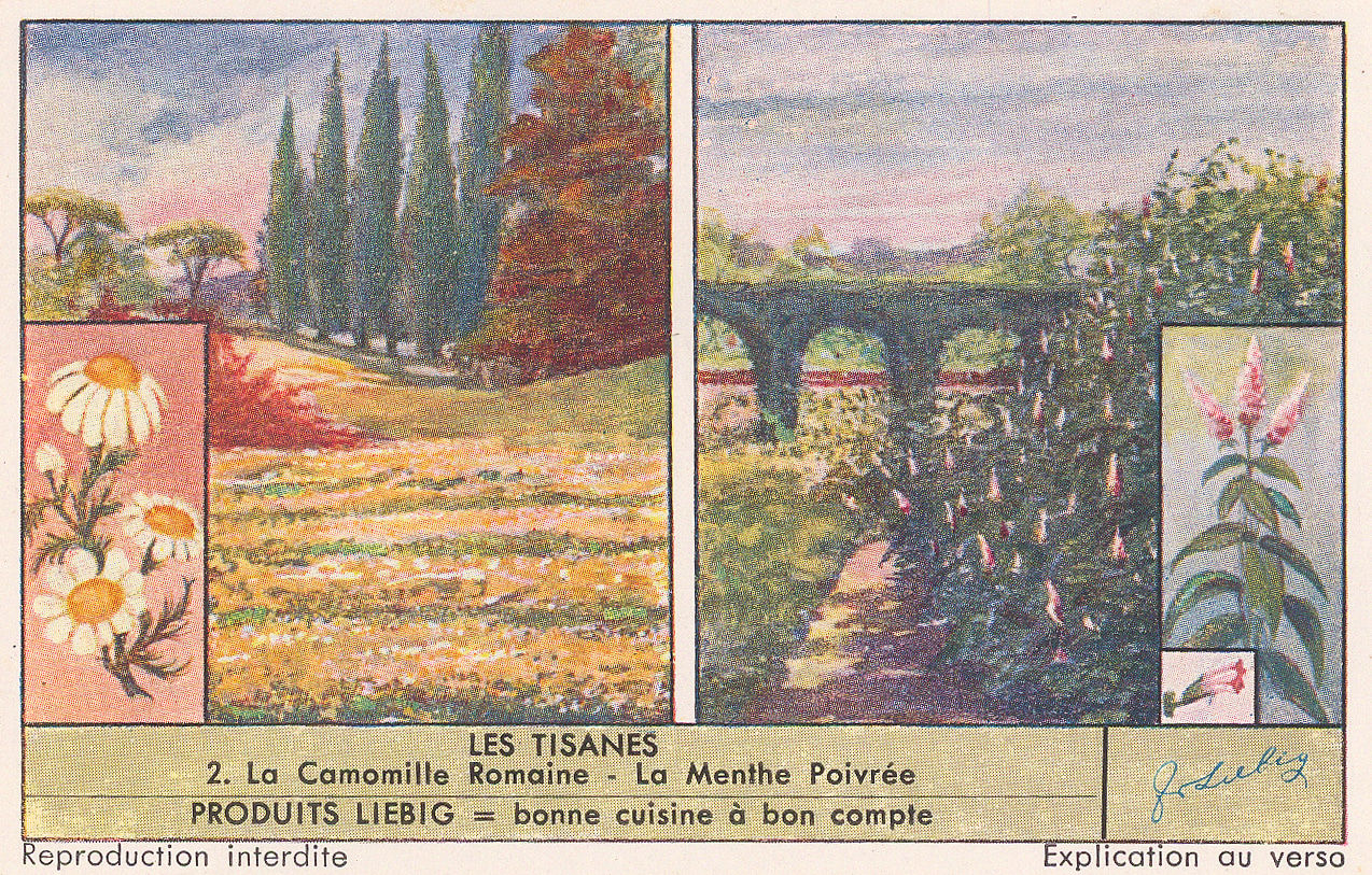 Liebig's Extract, Tea - Herbal Tea, 1920 c.