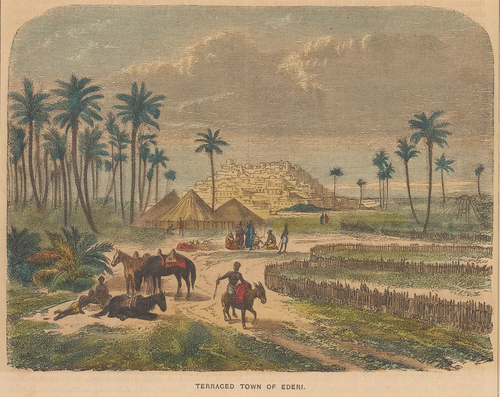 William Collins, Libya - Adiri, 1870 c.