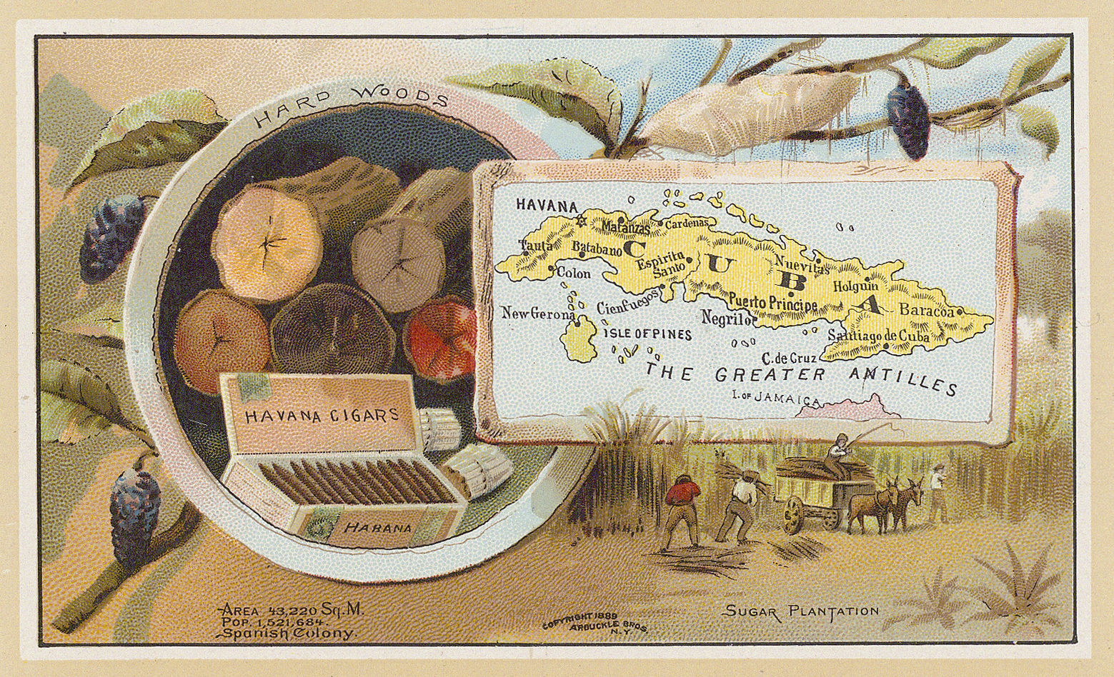 Arbuckle Brothers Company, Cuba, 1889