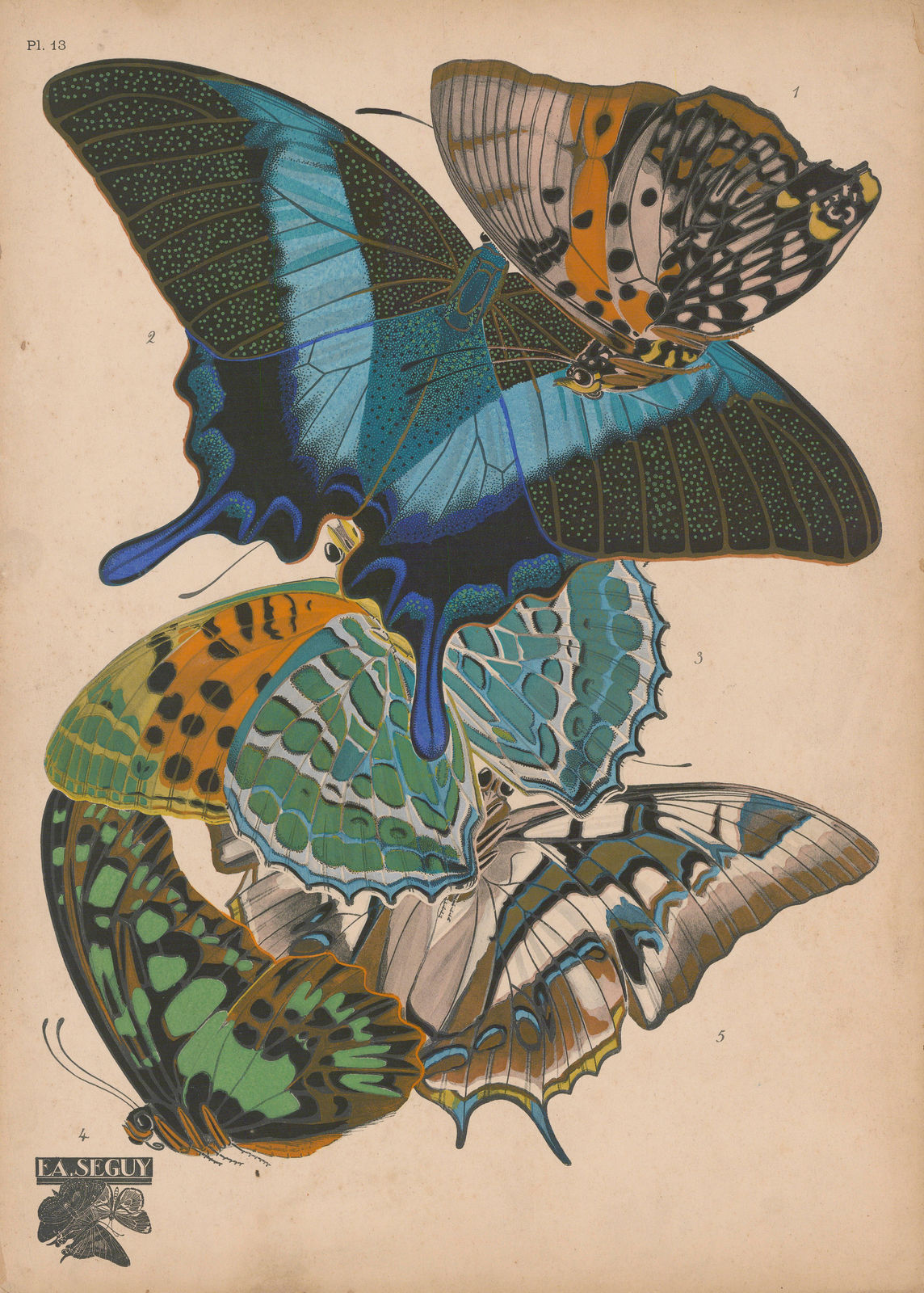 Émile-Alain Séguy, Insects - Butterflies (Papillons), 1924
