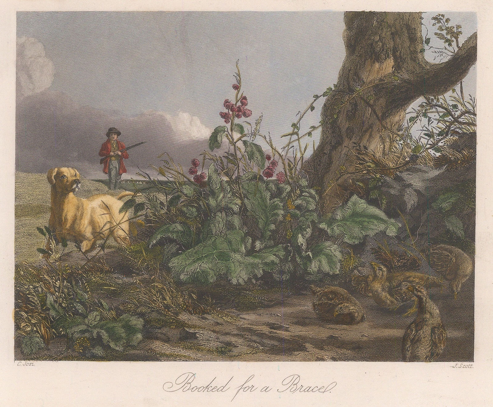 Sporting Review, Shooting - Pheasant Shooting, 1847
