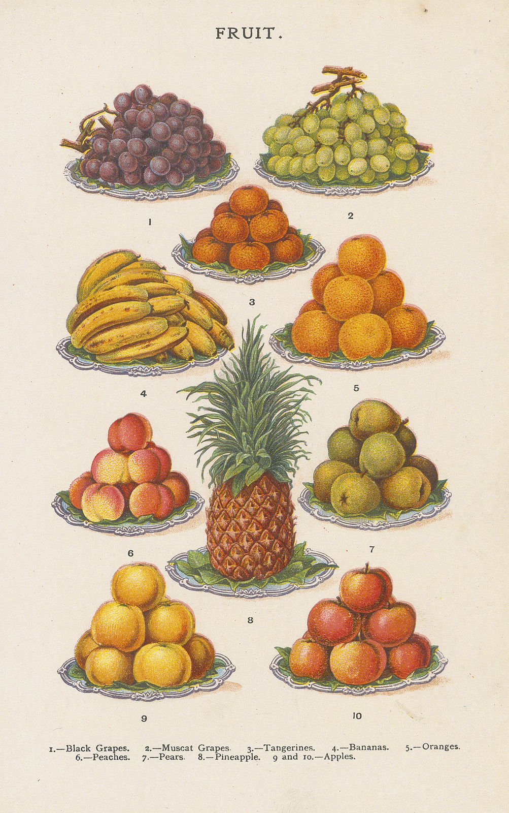 Mrs. Beeton, Cookery - Dessert Fruit, 1907