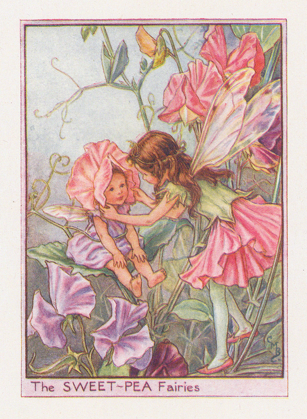 Cicely Mary Barker, Fairies - Sweet-Pea Fairies, 1944