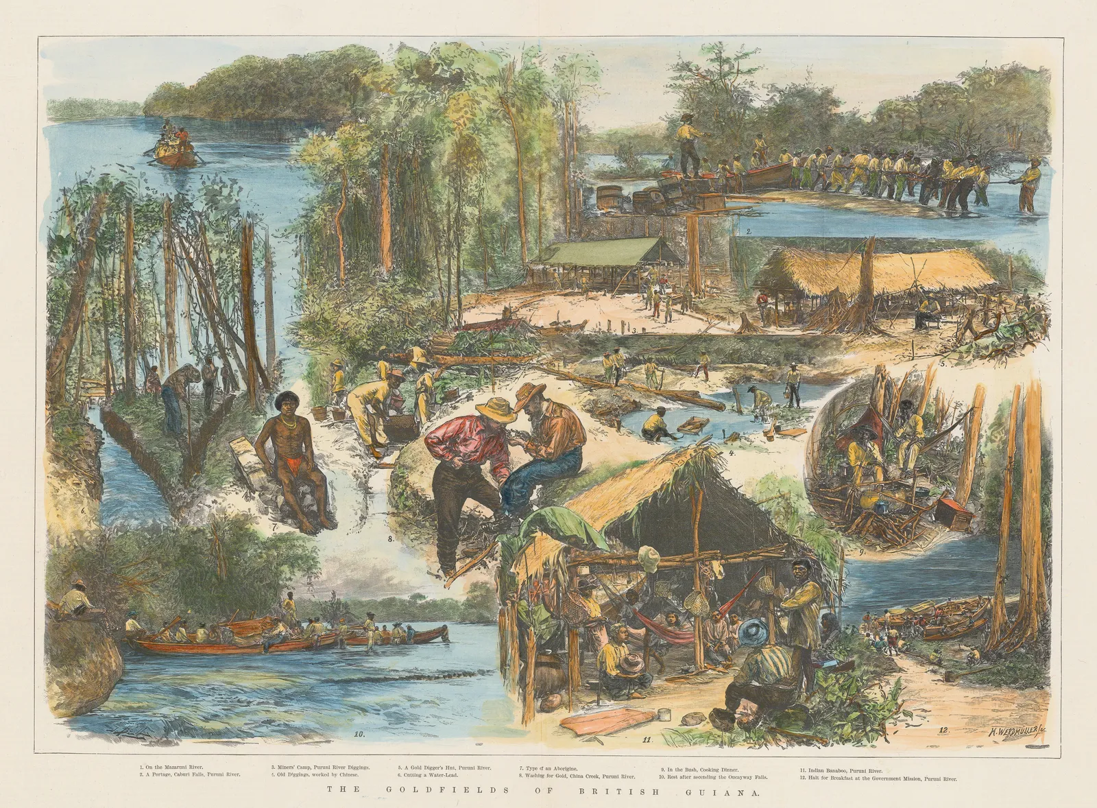 Illustrated London News (ILN), Guyana - Goldfields on the Mazaruni and Puruni , 1890
