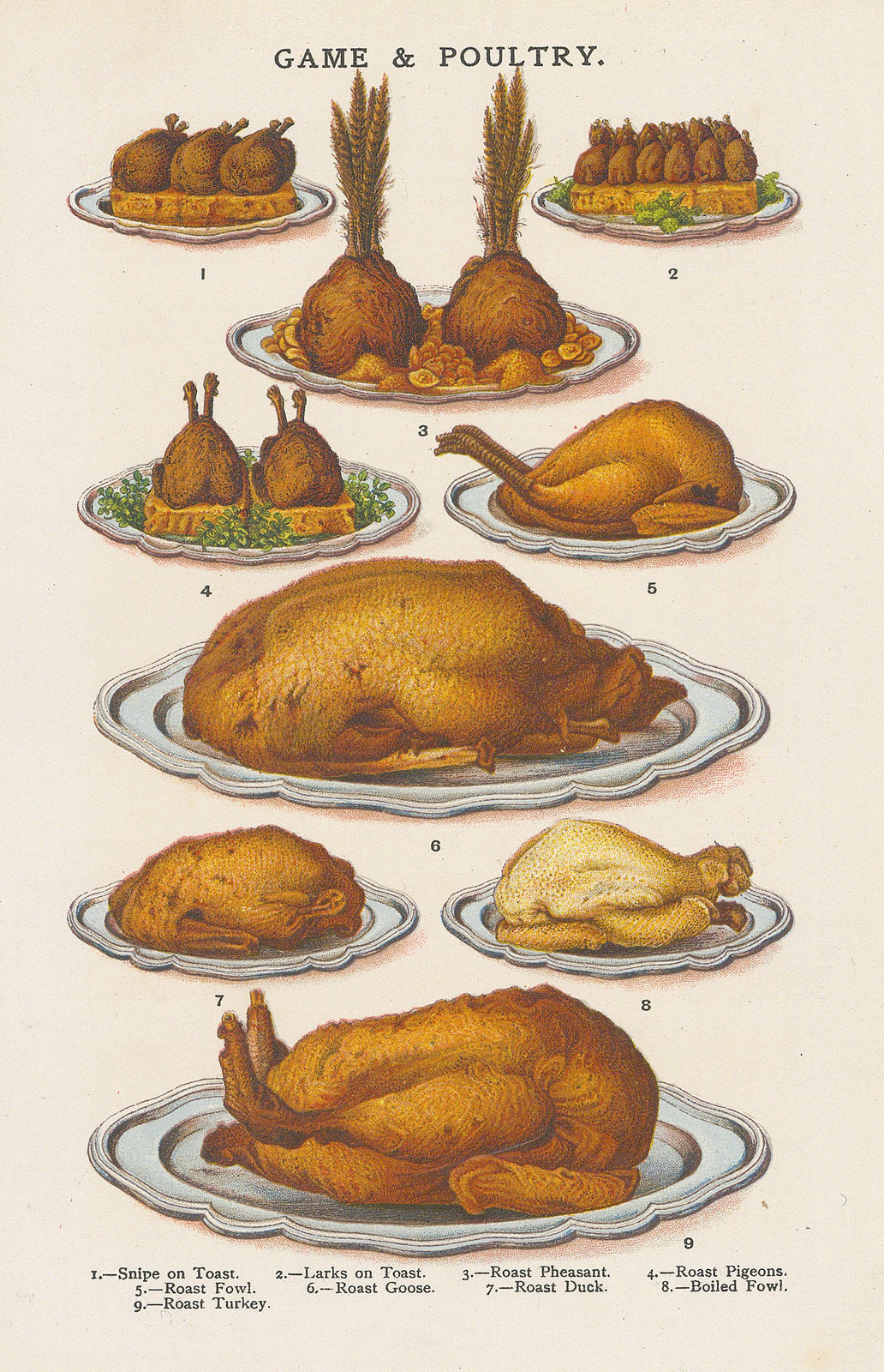 Mrs. Beeton, Cookery - Game & Poultry Dishes, 1907