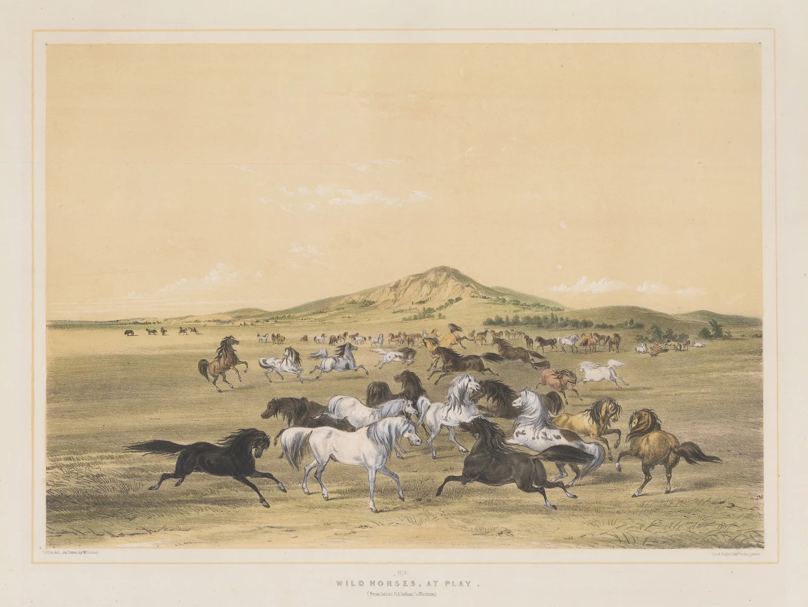 George Catlin, Native Americans - Wild Horses at Play, 1847