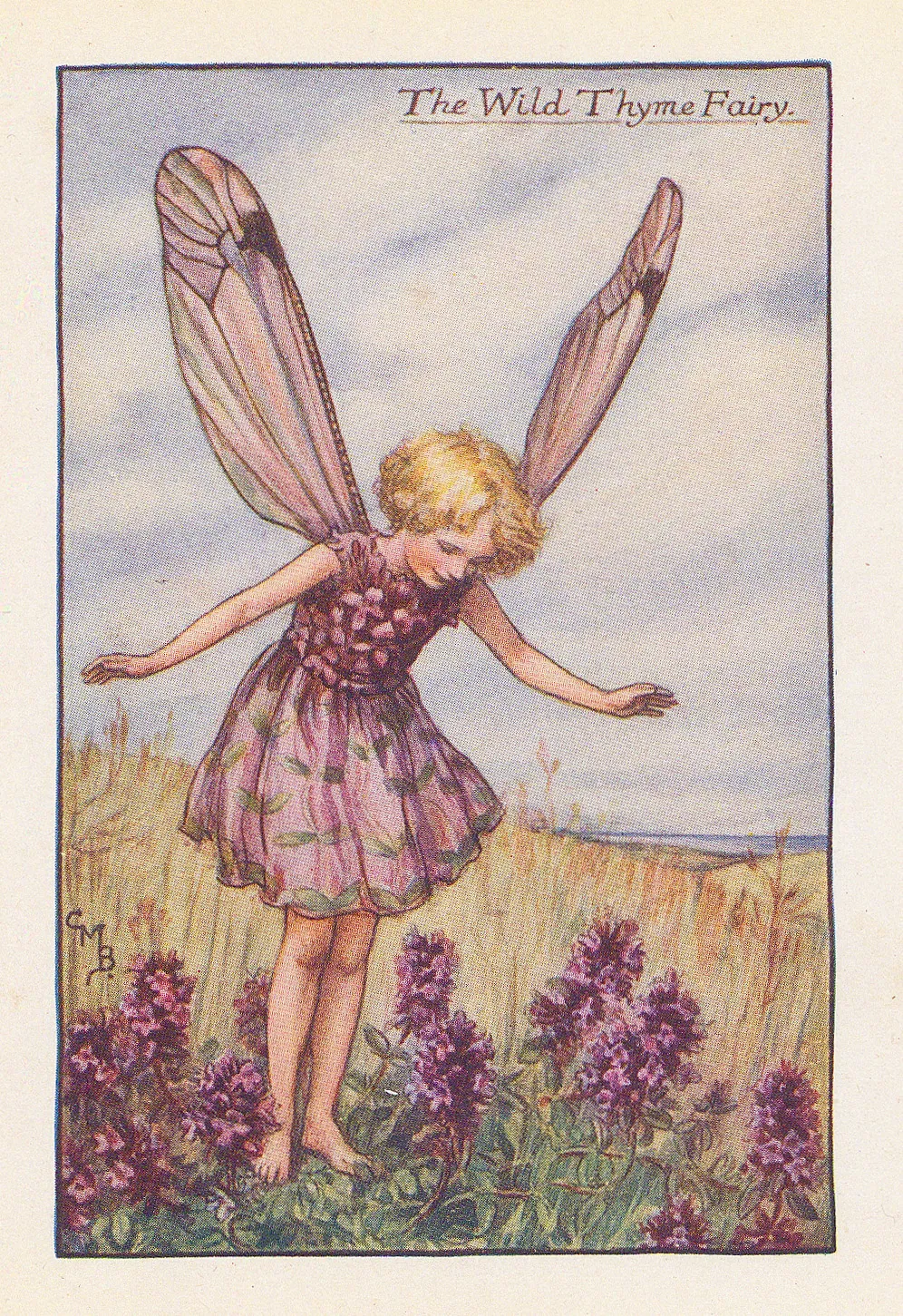 Cicely Mary Barker, Fairies - Wild Thyme Fairy, 1925