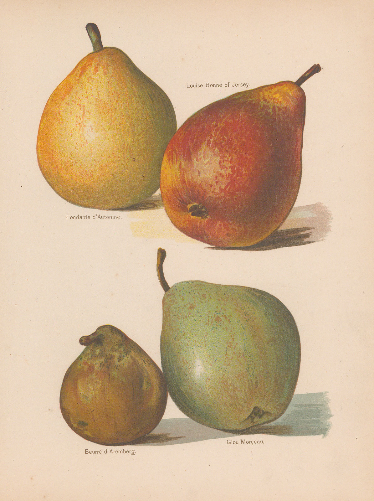 John Wright, Pears, 1891
