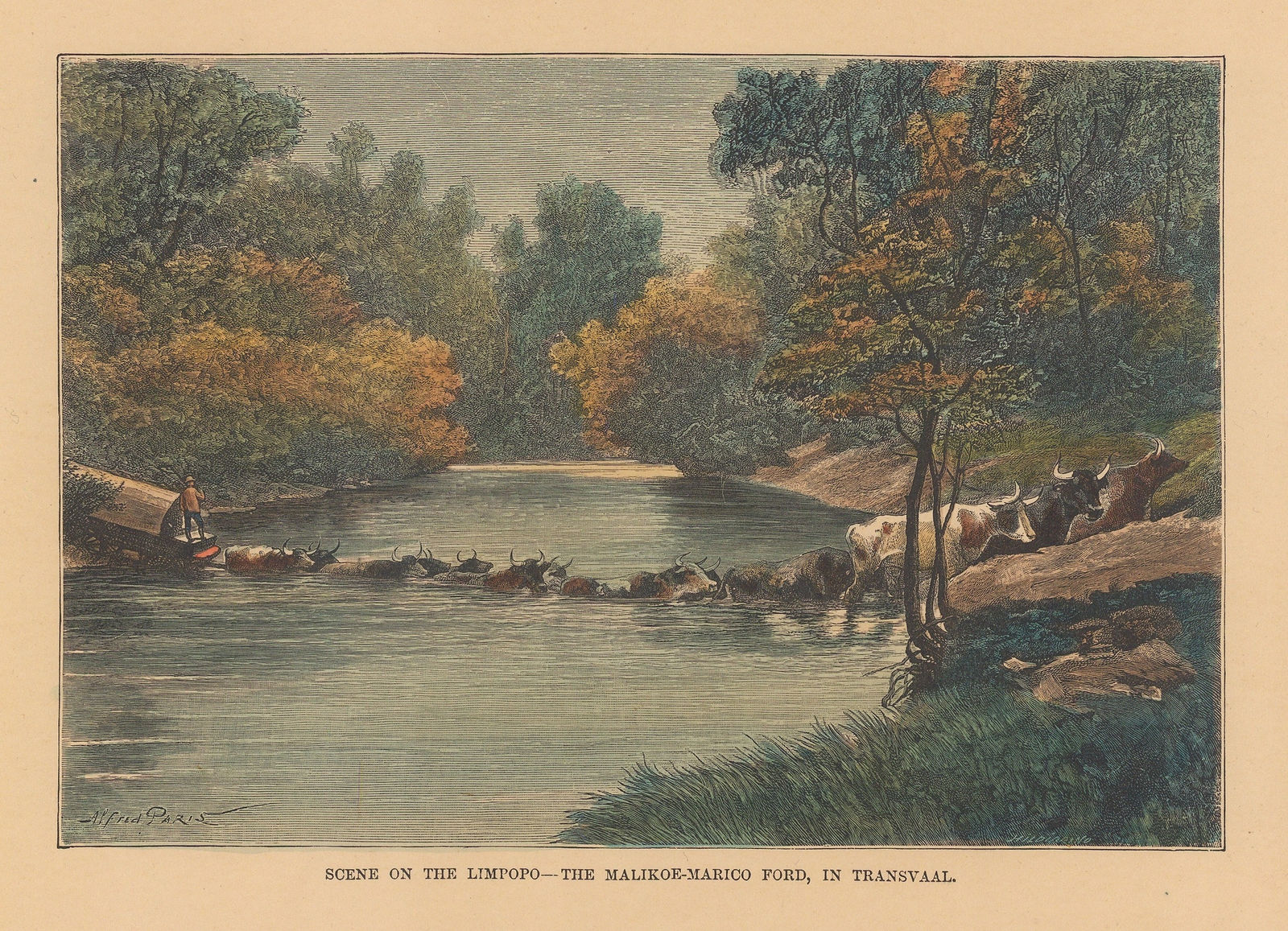 Jean Jacques Élisée Reclus, Zambia - Limpopo River, 1894