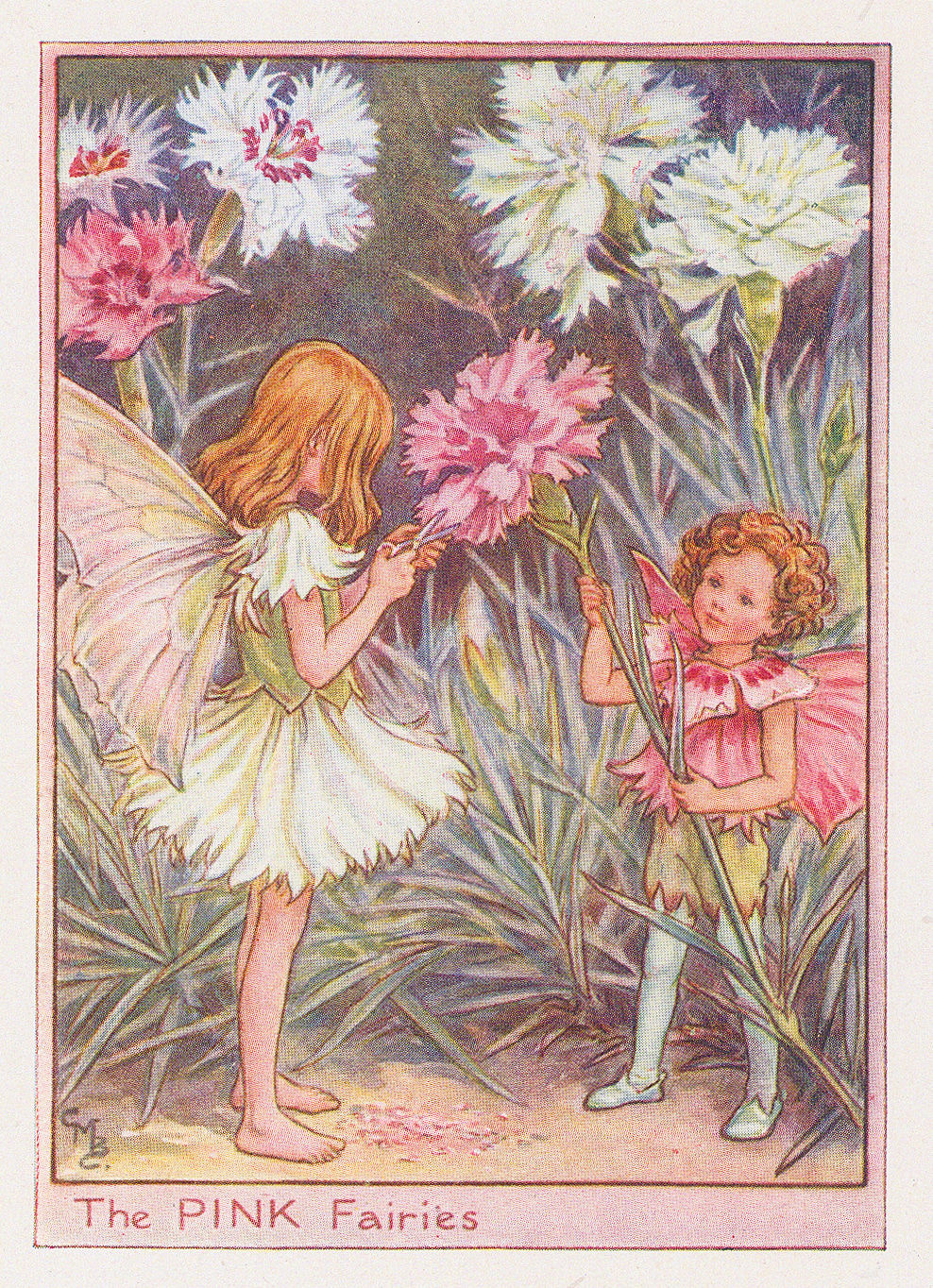 Cicely Mary Barker, Fairies - Pink Fairies, 1944