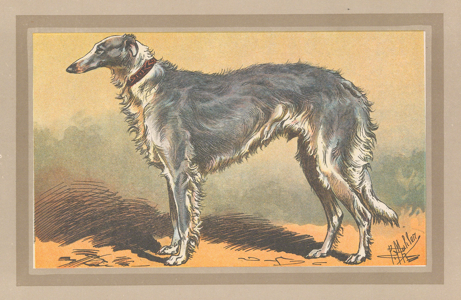 Paul Mahler, Dog - Borzoi, 1907