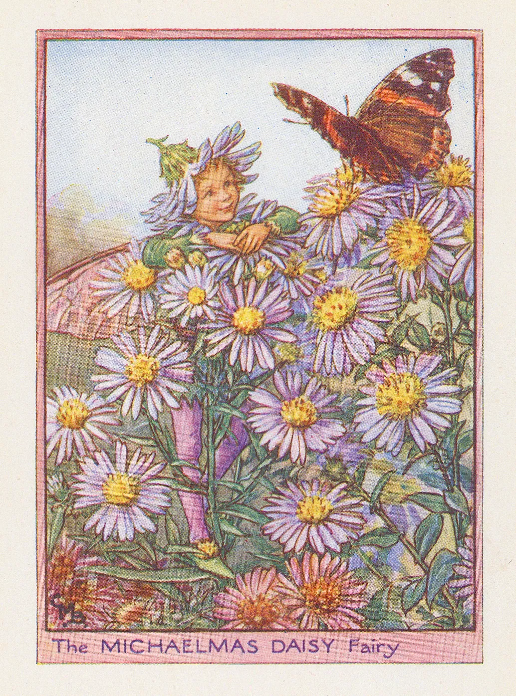 Cicely Mary Barker, Fairies - Michaelmas Daisy Fairy, 1949