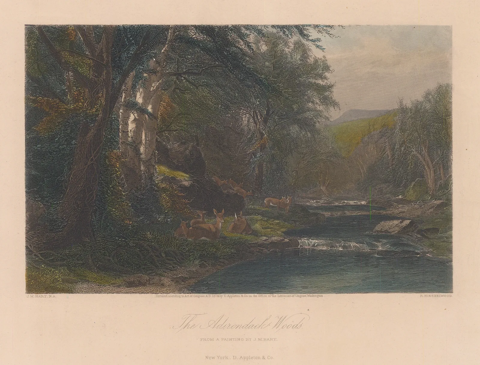 Picturesque America, New York State - Adirondack Woods, 1874