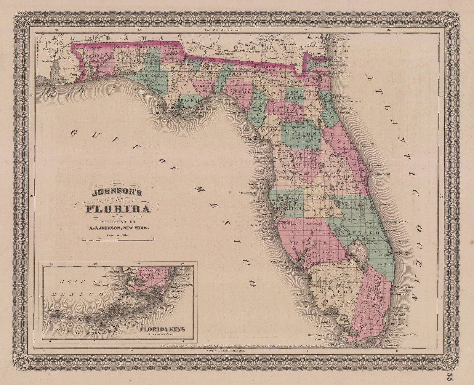 Alvin J. Johnson, Johnson's Florida, 1863