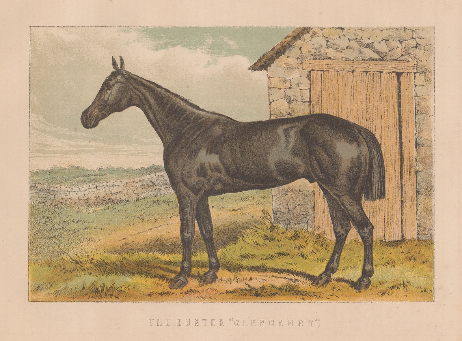 William J. Miles, Hunting - Hunter, 1895