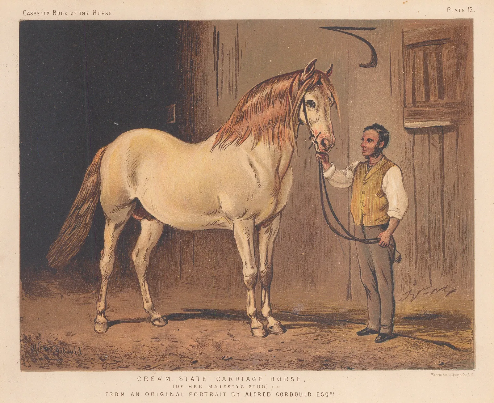 Cassell, Petter & Galpin, Horses - Carriage Horse, 1877 c.