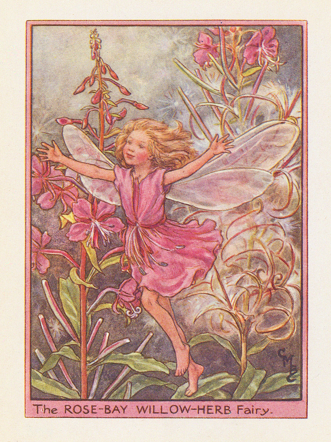 Cicely Mary Barker, Fairies - Rosebay Willowherb Fairy, 1948