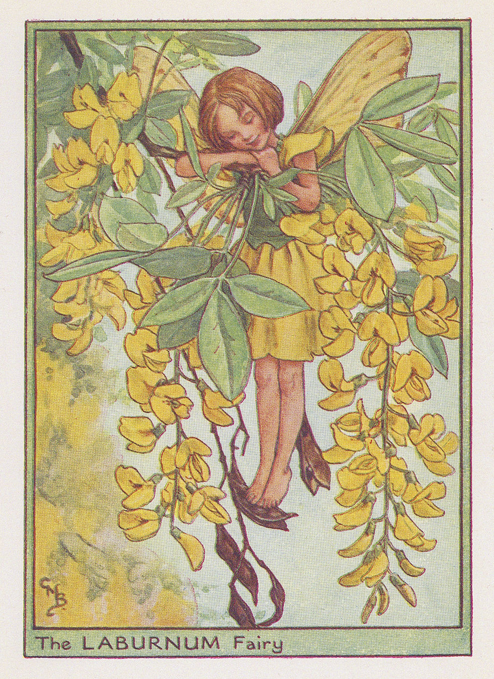 Cicely Mary Barker, Fairies - Laburnum Fairy, 1940