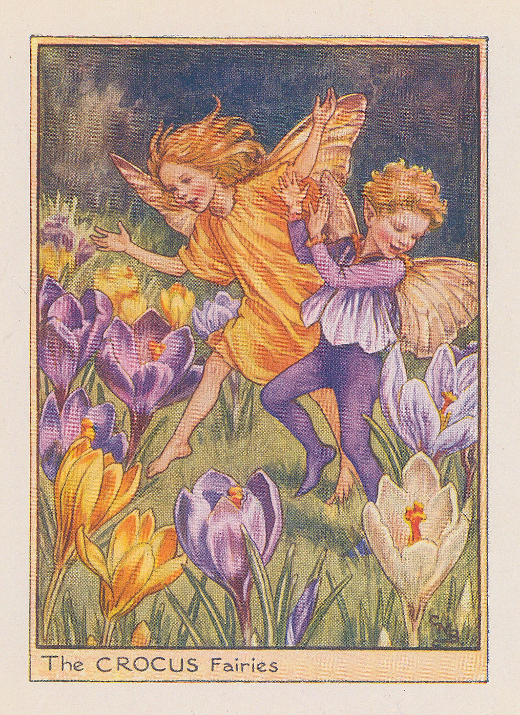 Cicely Mary Barker, Fairies - Crocus Fairies, 1944