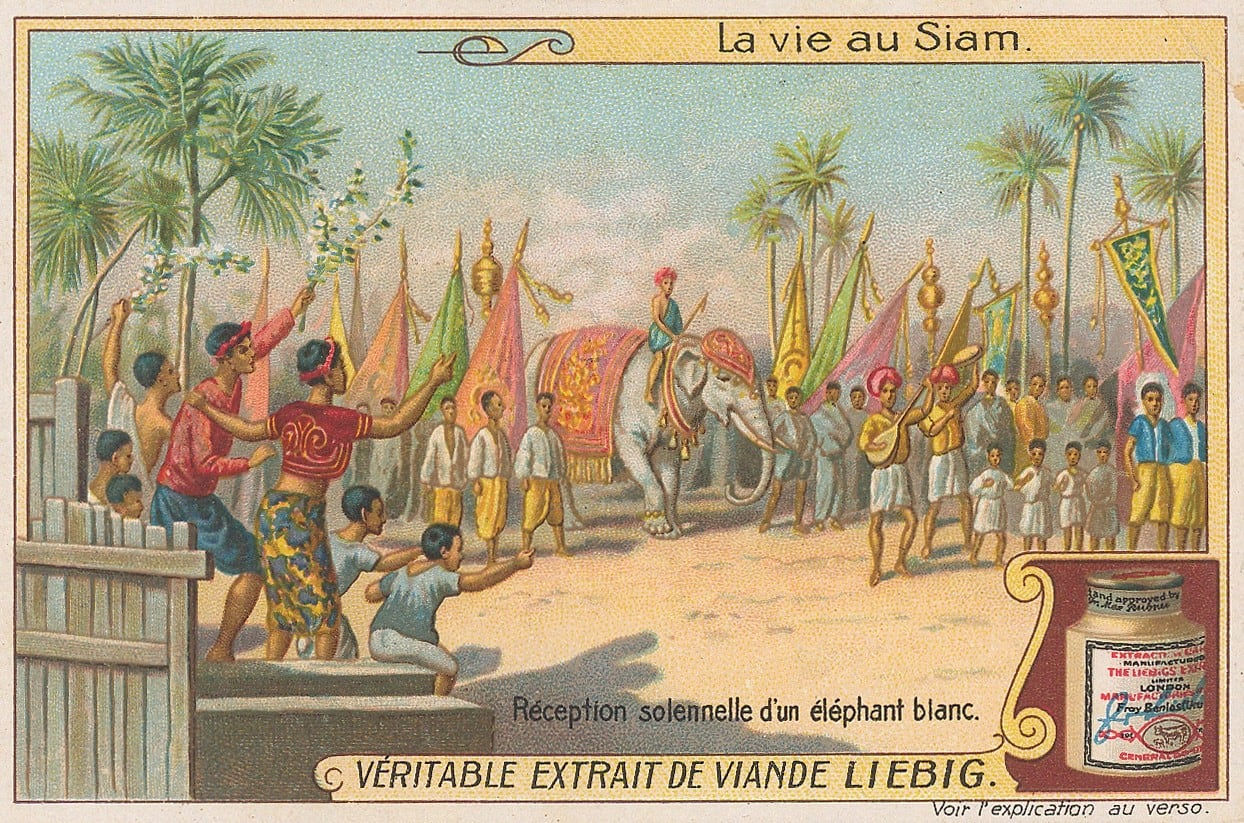 Liebig's Extract, Thailand - Celebration of the White Elephant , 1910 c.