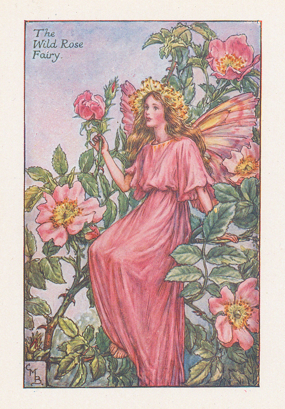 Cicely Mary Barker, Fairies - Wild Rose Fairy, 1925