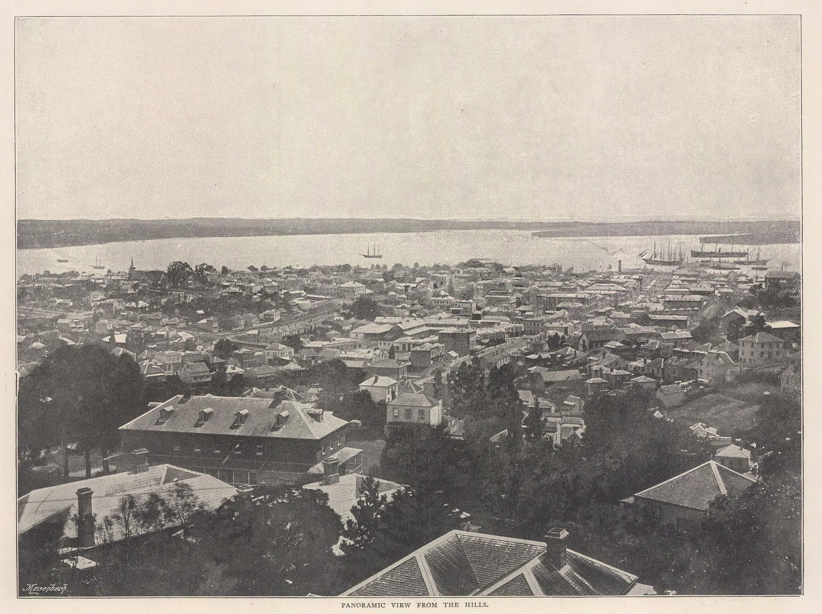 Meisenbach & Co, New Zealand - Auckland, 1910 c.