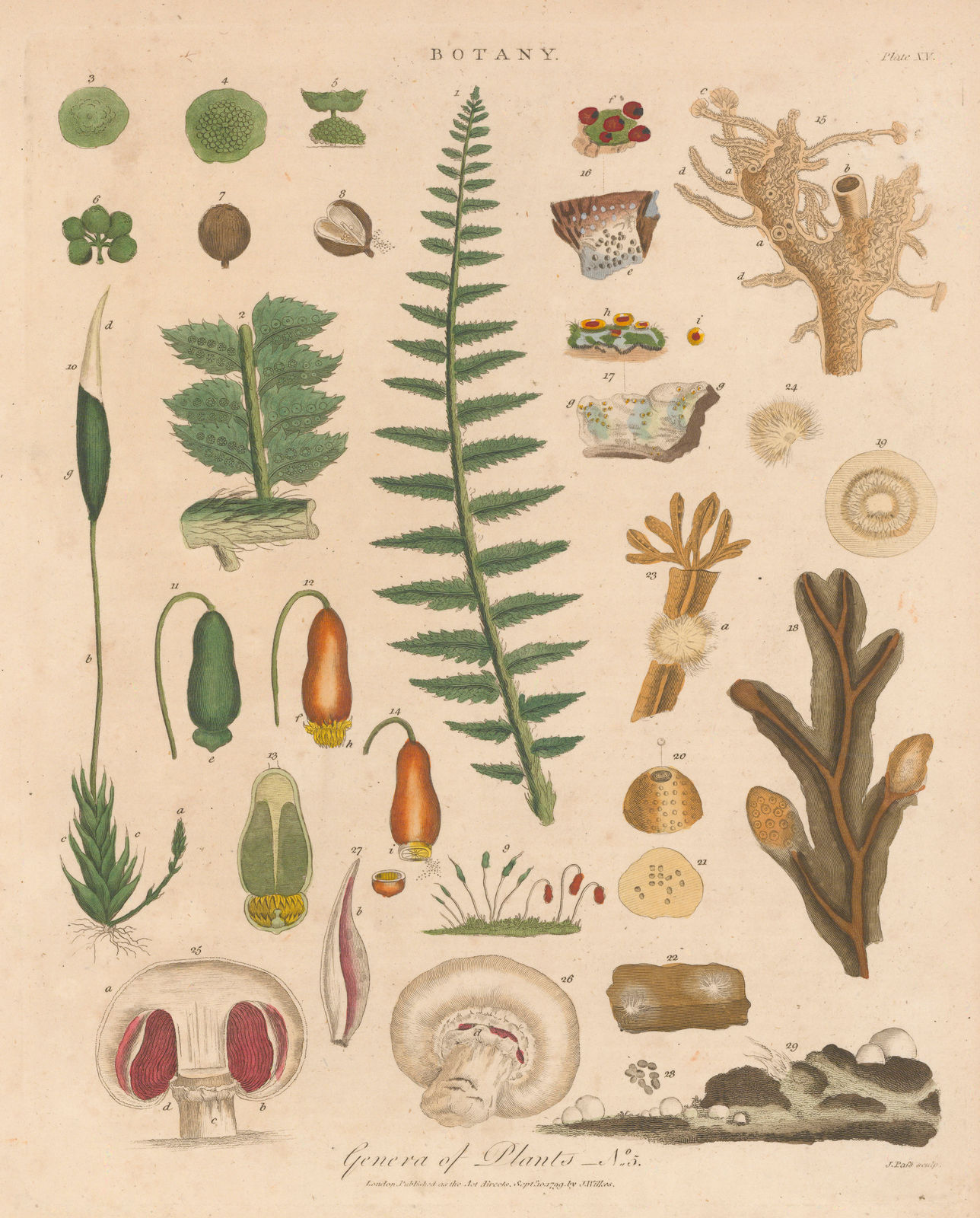 John Wilkes, Botany - Genera of Plants, 1810