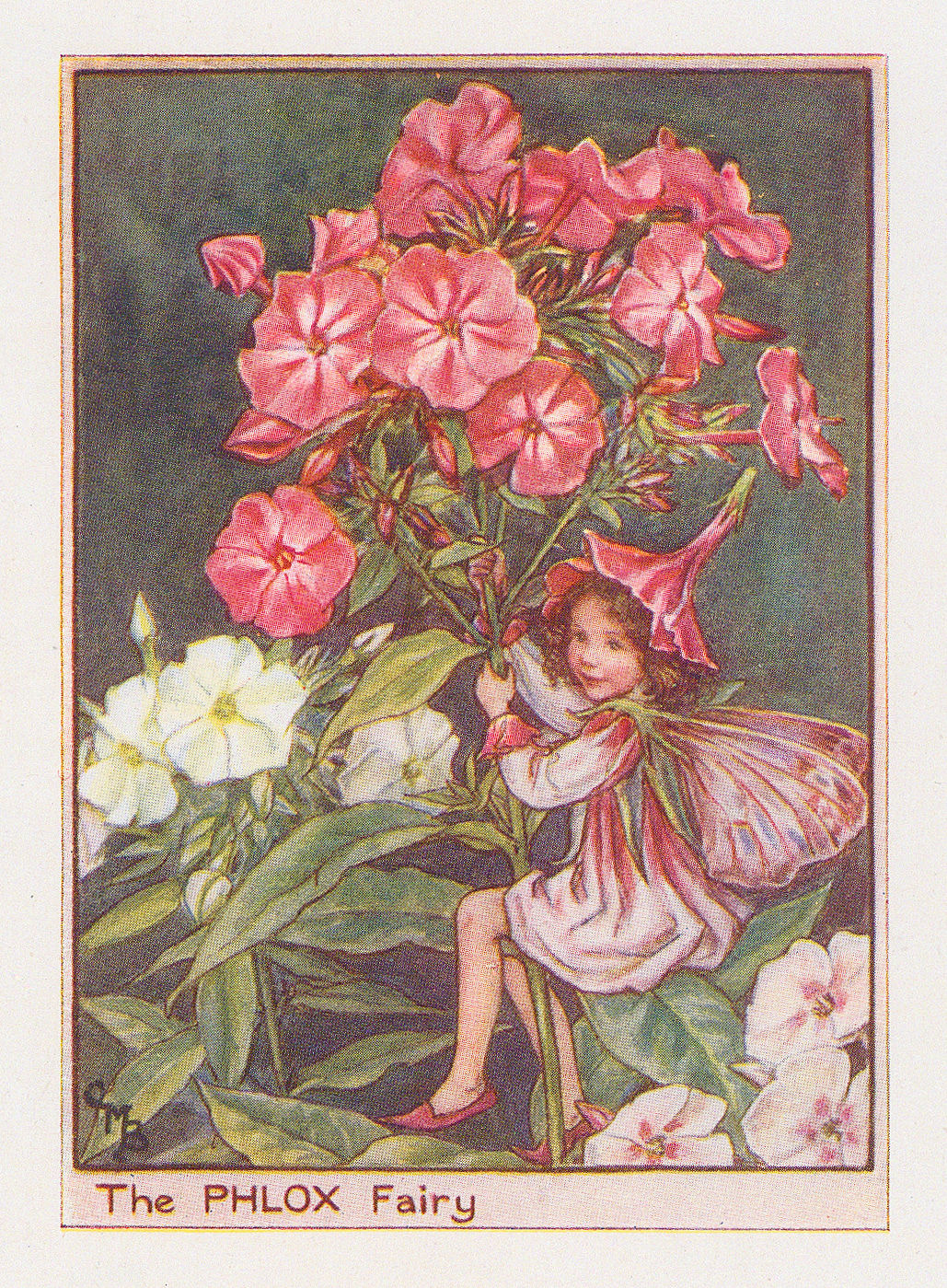 Cicely Mary Barker, Fairies - Phlox Fairy, 1944