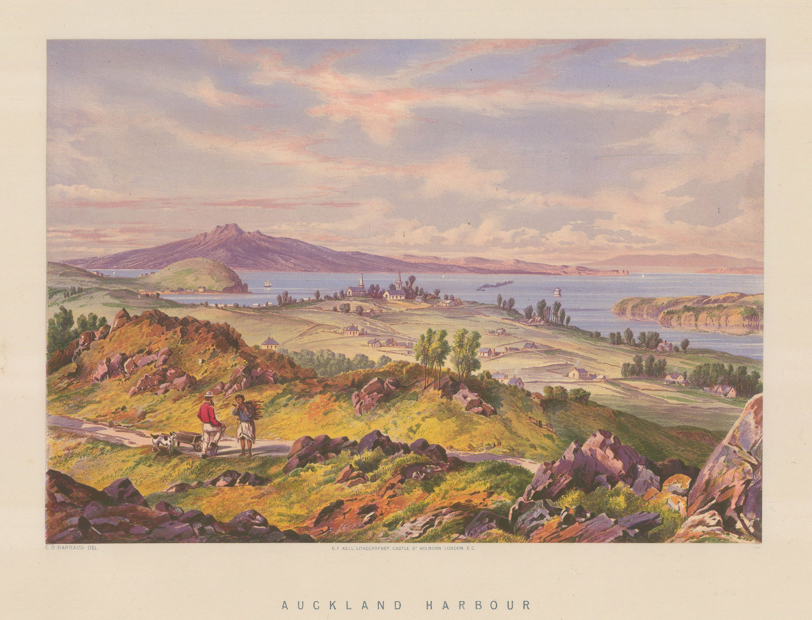 Charles Decimus Barraud, New Zealand - Auckland, 1877