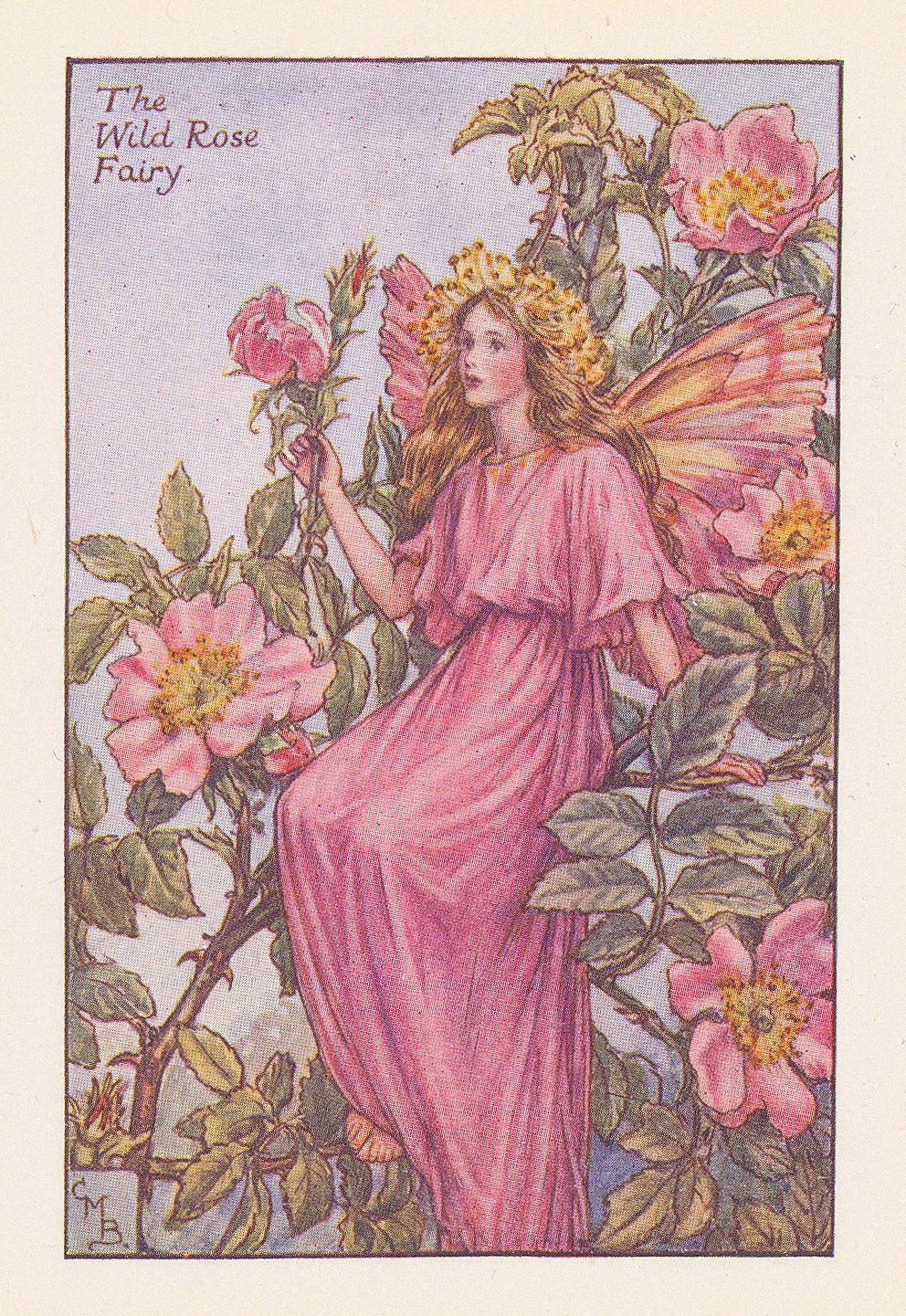 Cicely Mary Barker, Fairies - Wild Rose Fairy, 1925