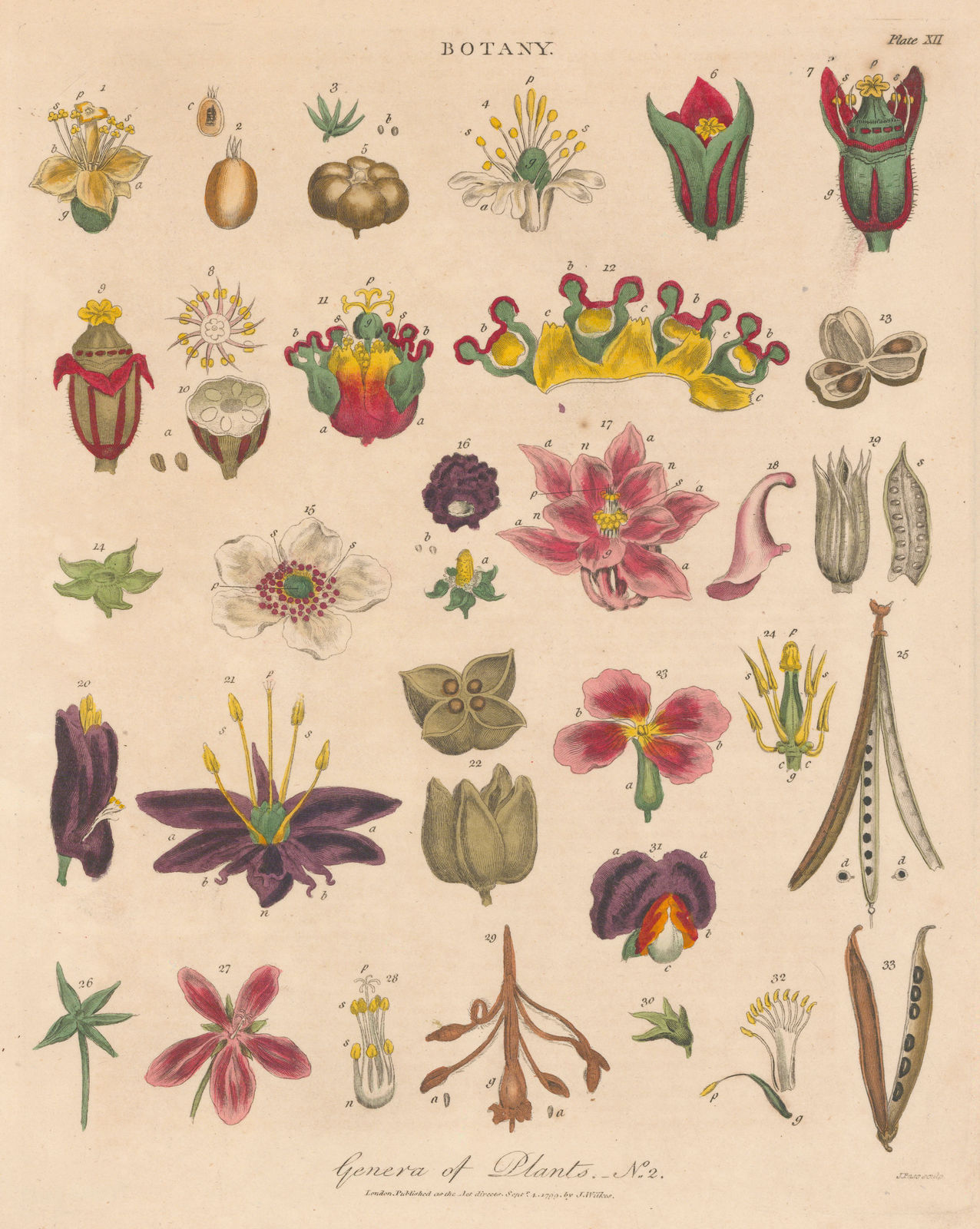 John Wilkes, Botany - Genera of Plants, 1810