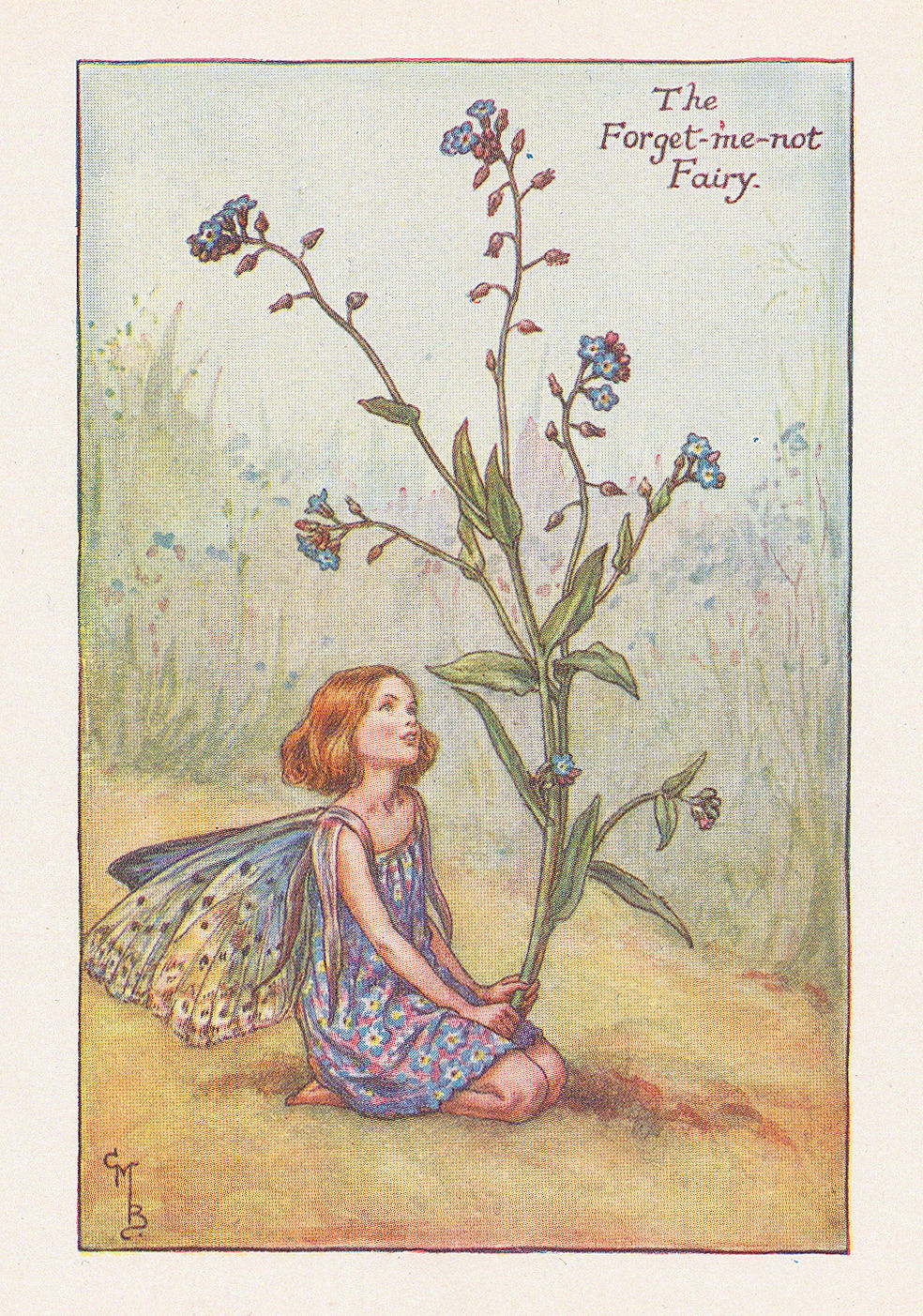 Cicely Mary Barker, Fairies - Forget-me-not Fairy, 1925
