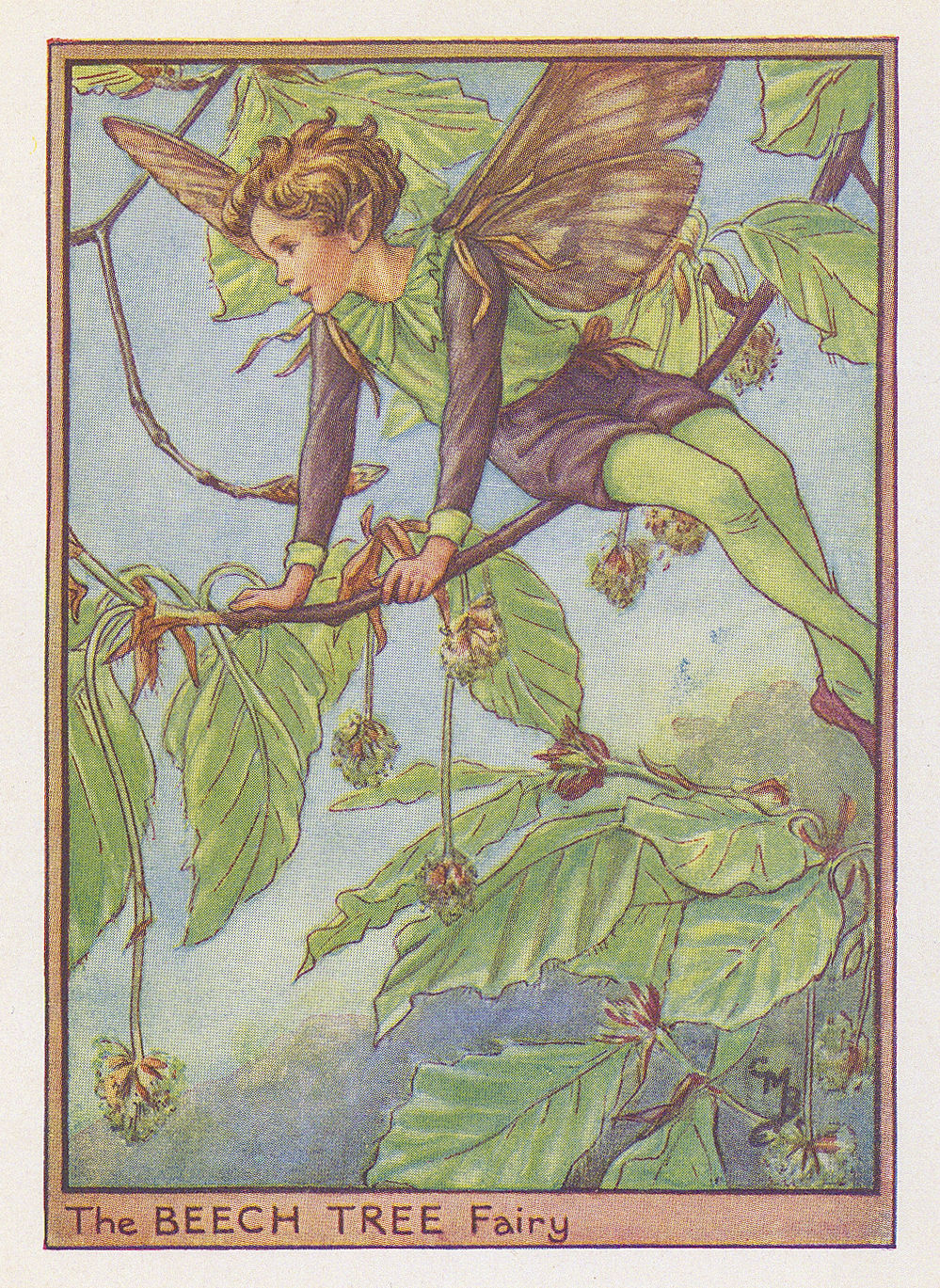 Cicely Mary Barker, Fairies - Beech Tree Fairy, 1940