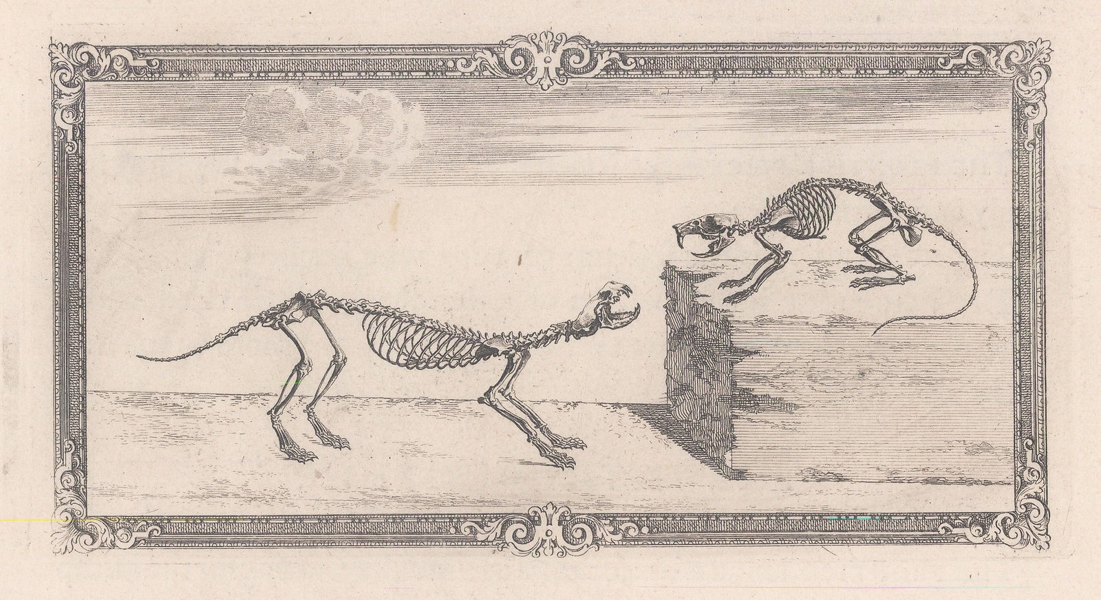 William Cheselden, Animal Anatomy - Rat & Weasel, 1733