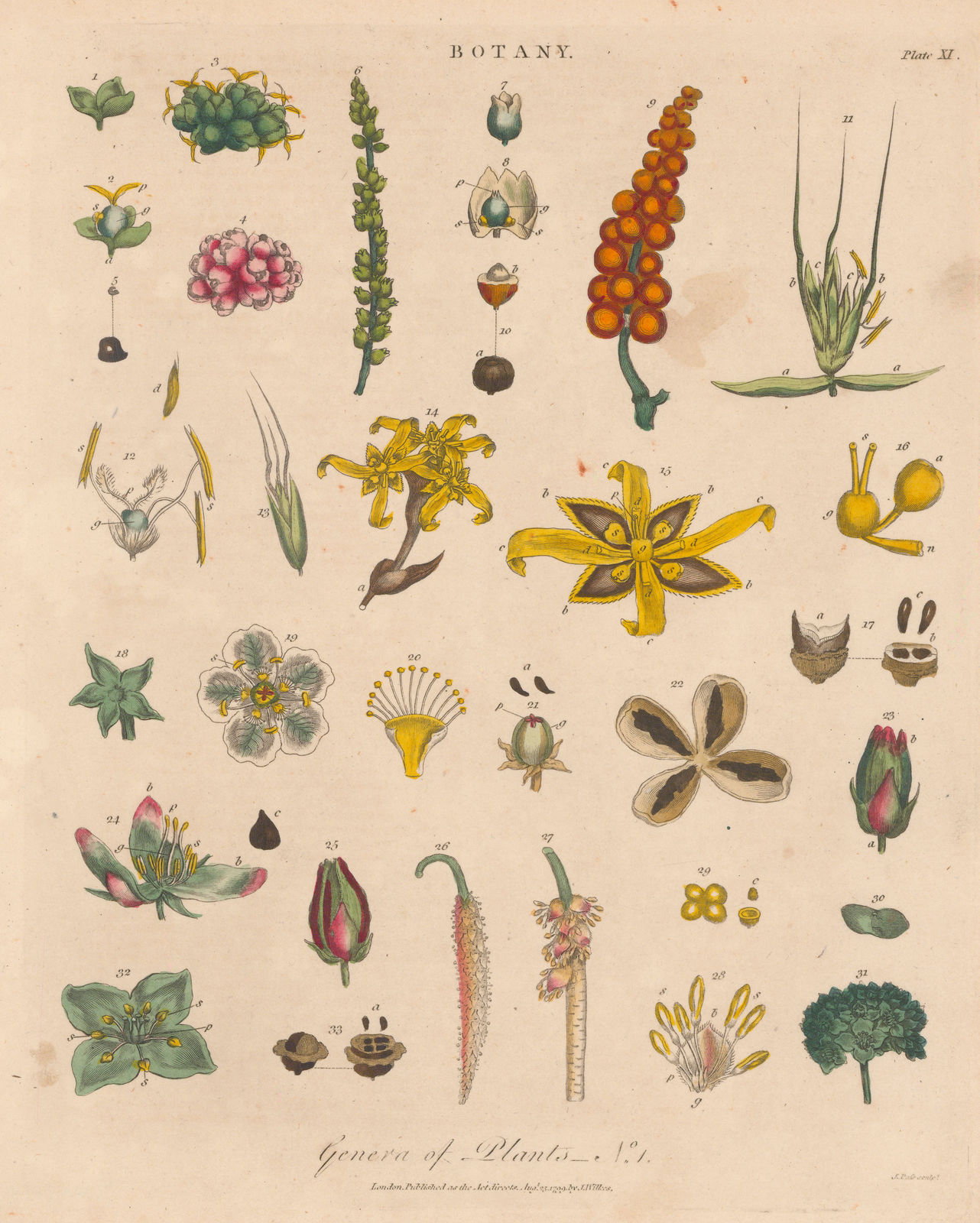John Wilkes, Botany - Genera of Plants, 1810