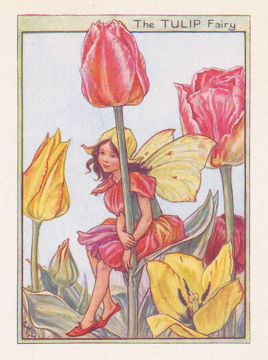 Cicely Mary Barker, Fairies - Tulip Fairy, 1944