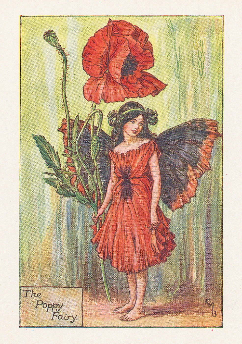 Cicely Mary Barker, Fairies - Poppy Fairy, 1925
