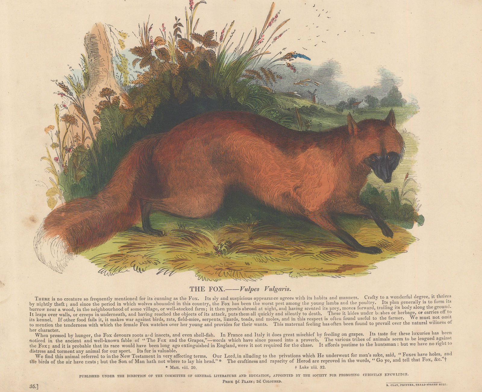 Society for Promoting Christian Knowledge (SPCK), Hunting - Fox, 1860 c