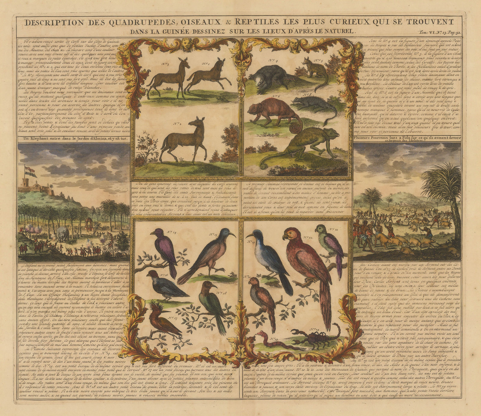 Henri Chatelain, Ghana - Elmina and wild life of Ghana, 1719