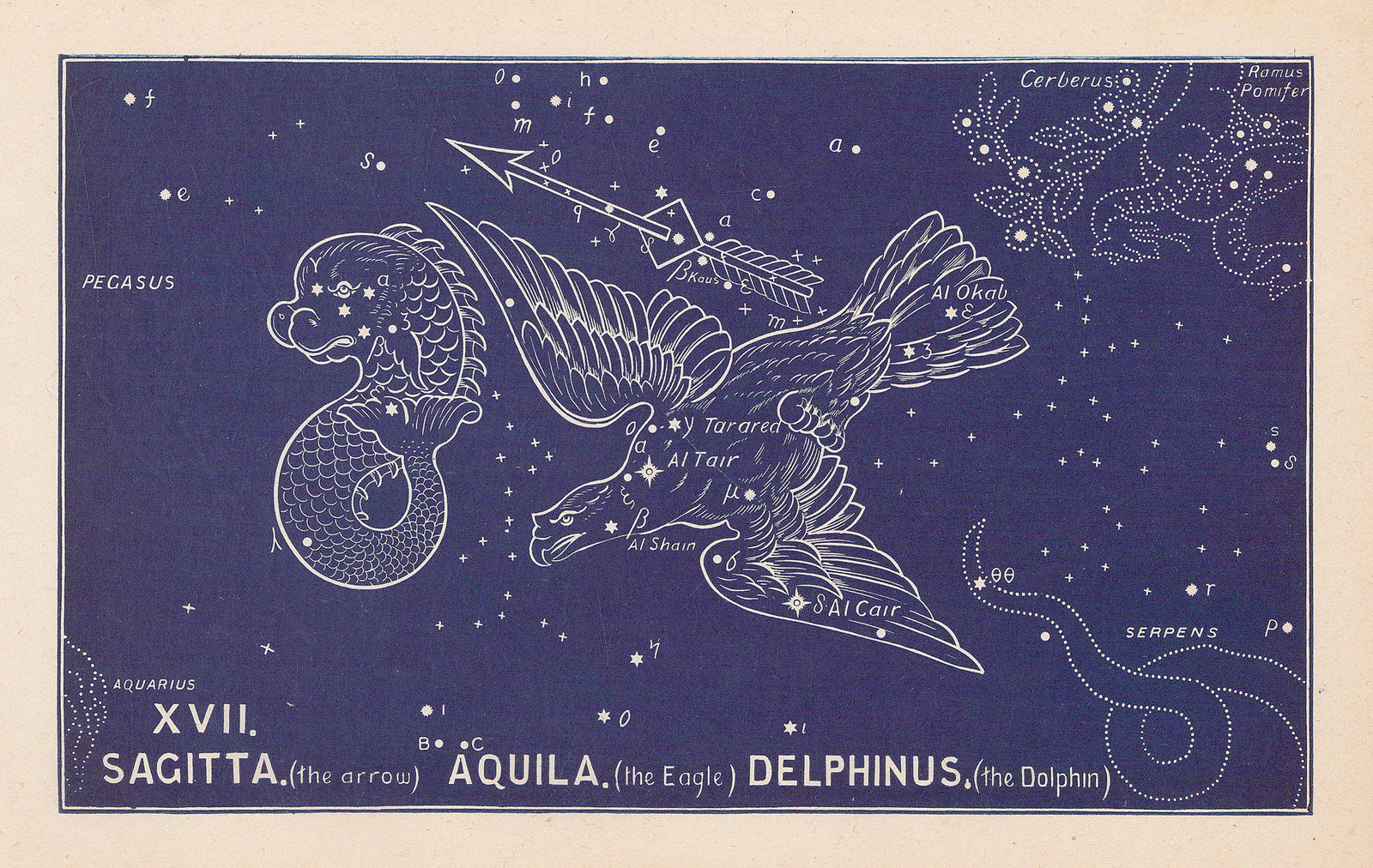 Ethelbert William Bullinger, XVII. Sagitta, Aquila, and Delphinus (The Arrow, The Eagle, and The Dolphin), 1921