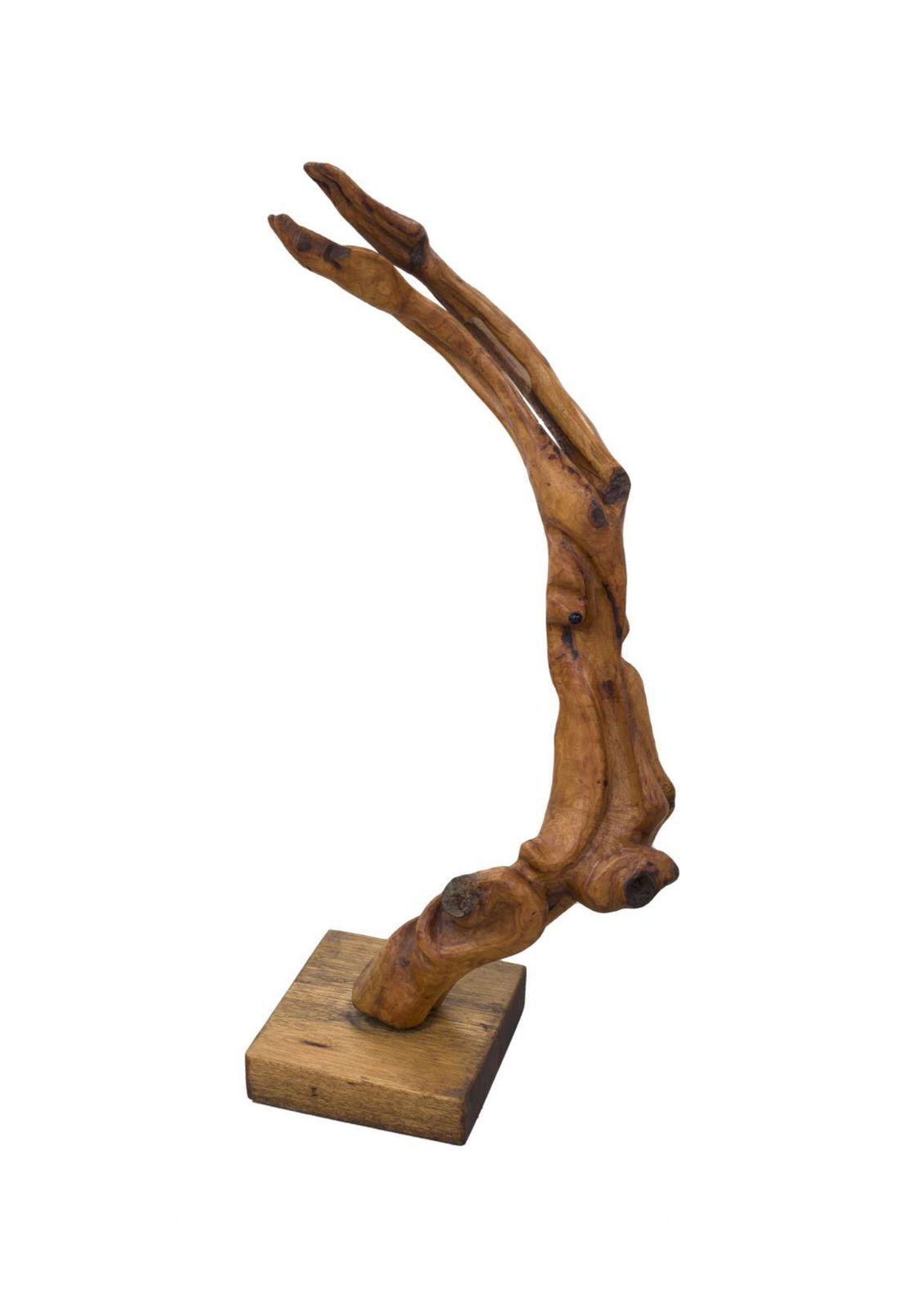 Pitika Ntuli, Cyclone of our Dreams