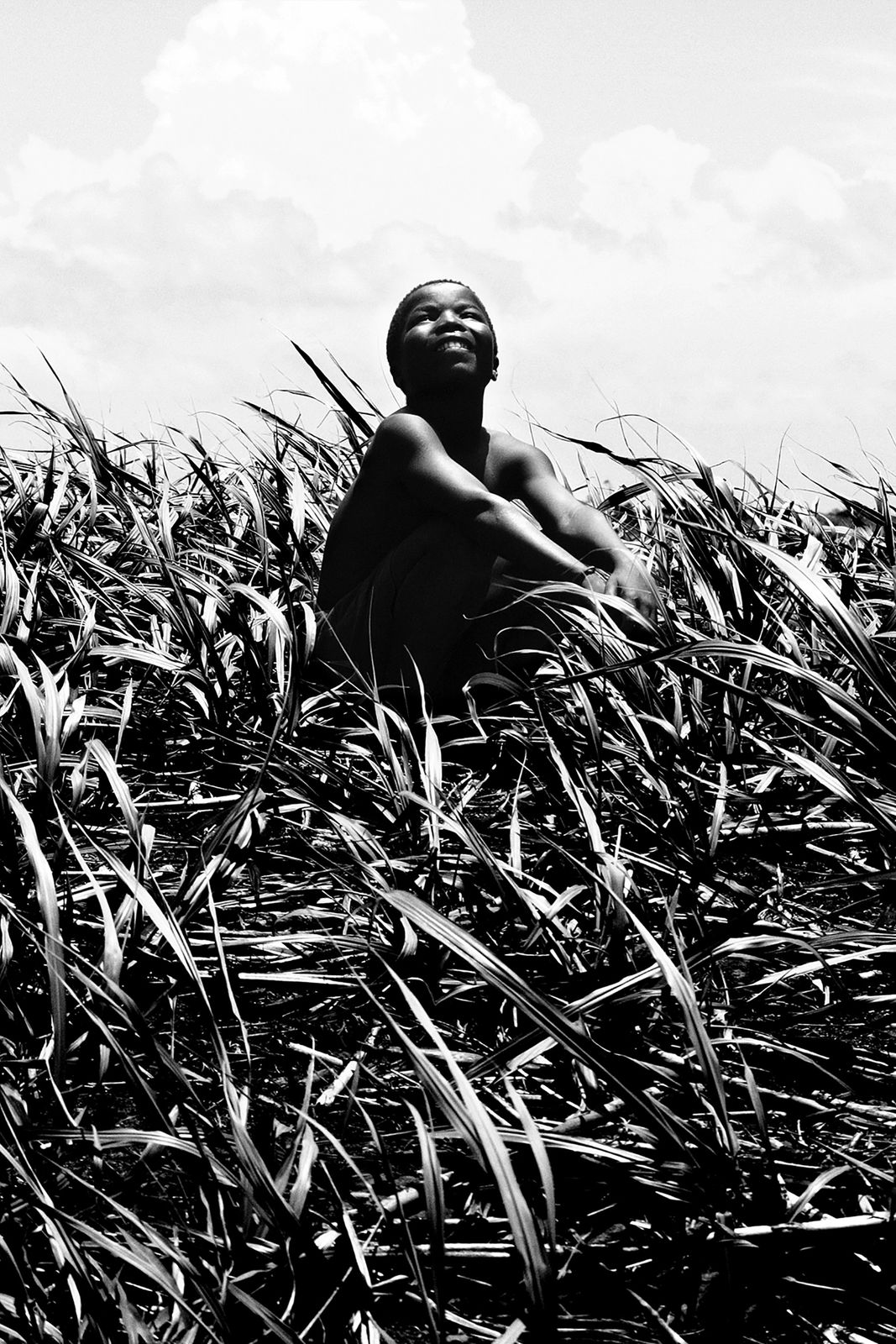 Clint Strydom, ARCHIVE _ Sugarcane,