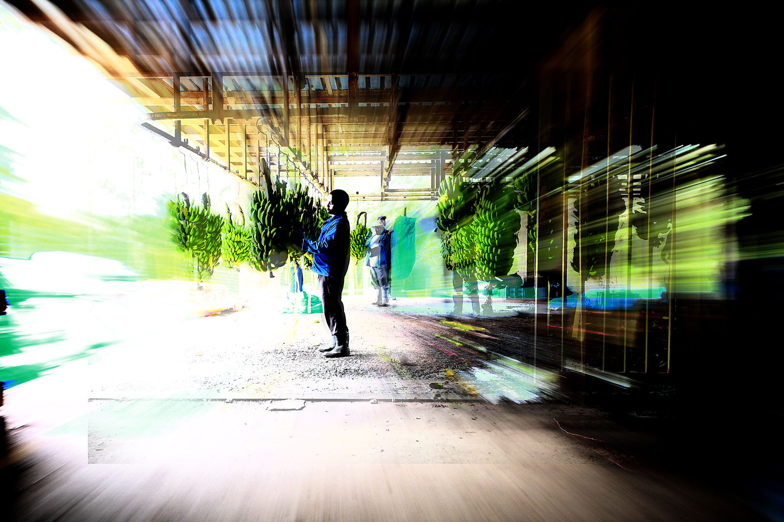 Clint Strydom, DPP_1392