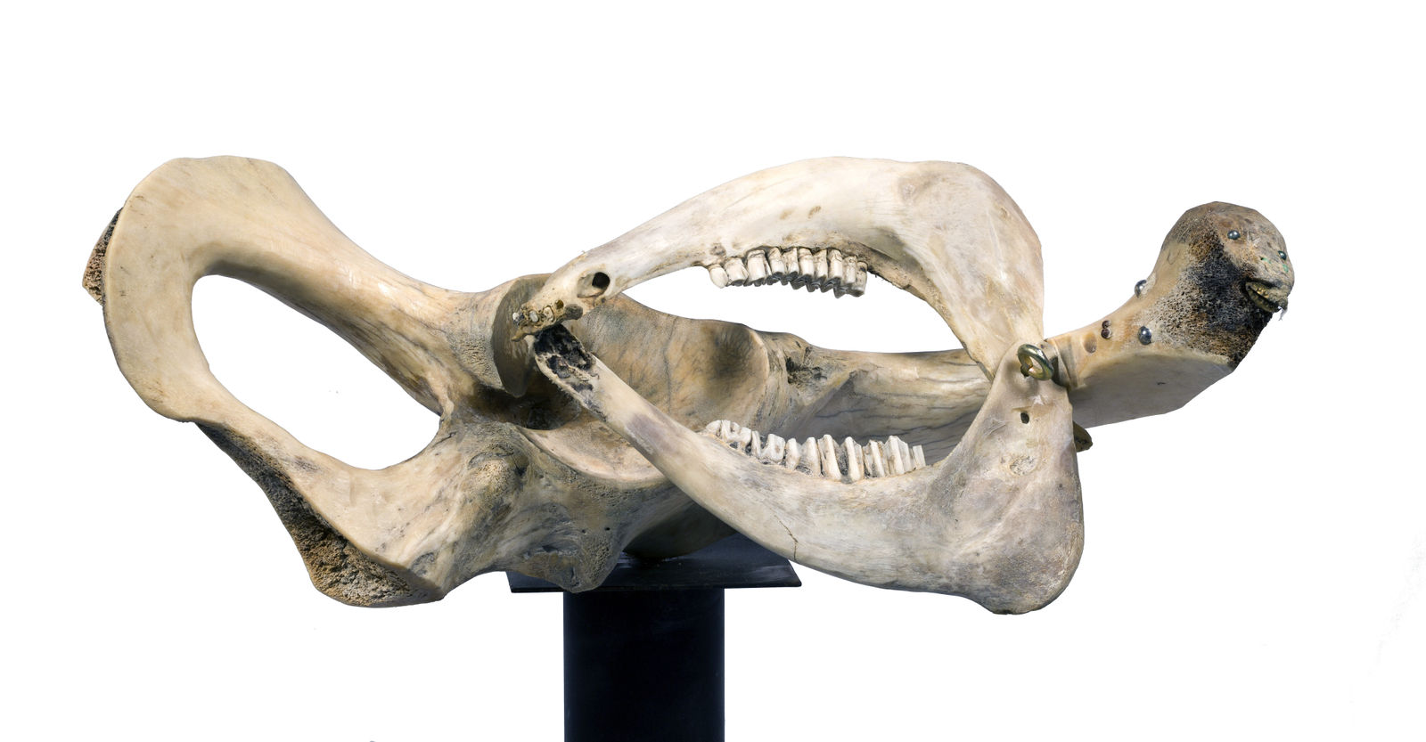 Pitika Ntuli, I armed Myself with Jaws of Love, 2018 - 2020