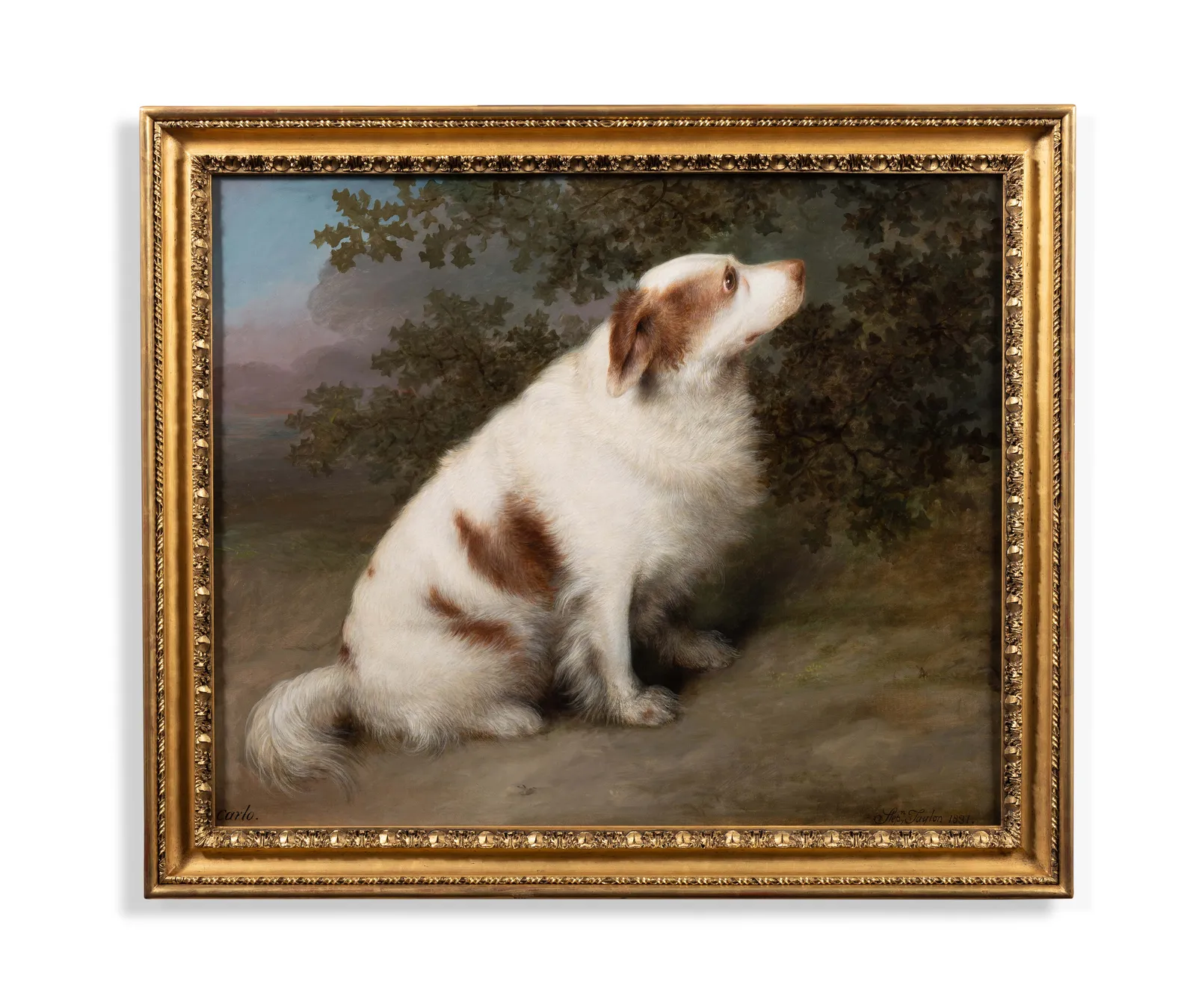 Stephen Taylor (fl. 1810-1835), 'Carlo', a spaniel in a landscape