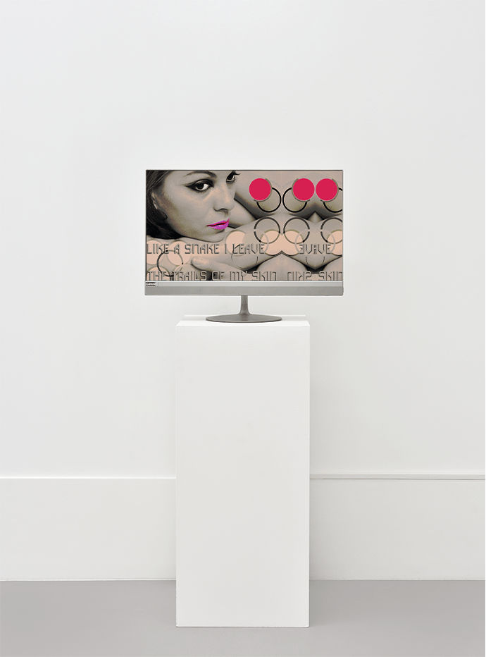 Nil Yalter, Skin Story, 2003